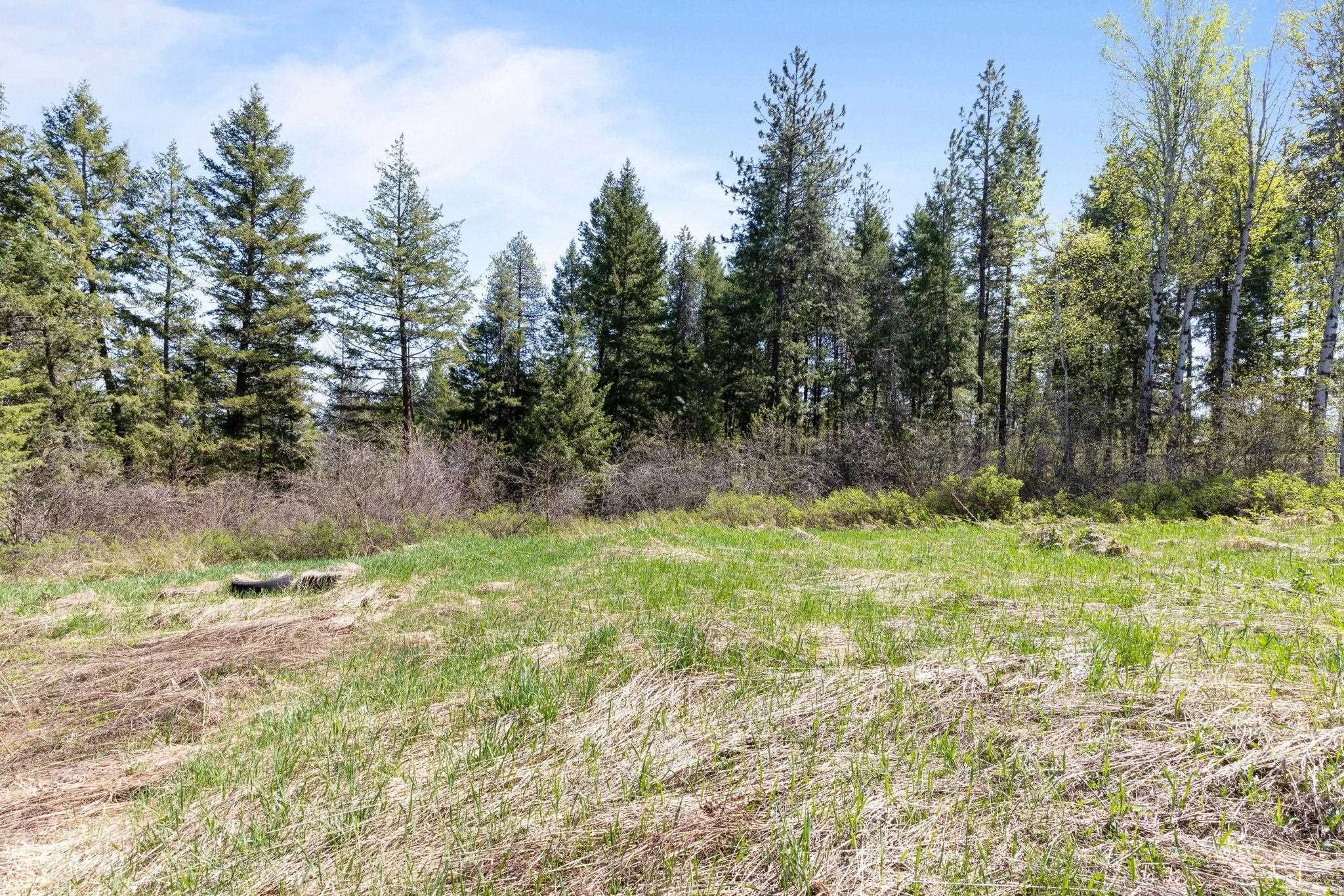 4112 Lumberg Road Springdale, WA 99173 - Photo 10 of 12