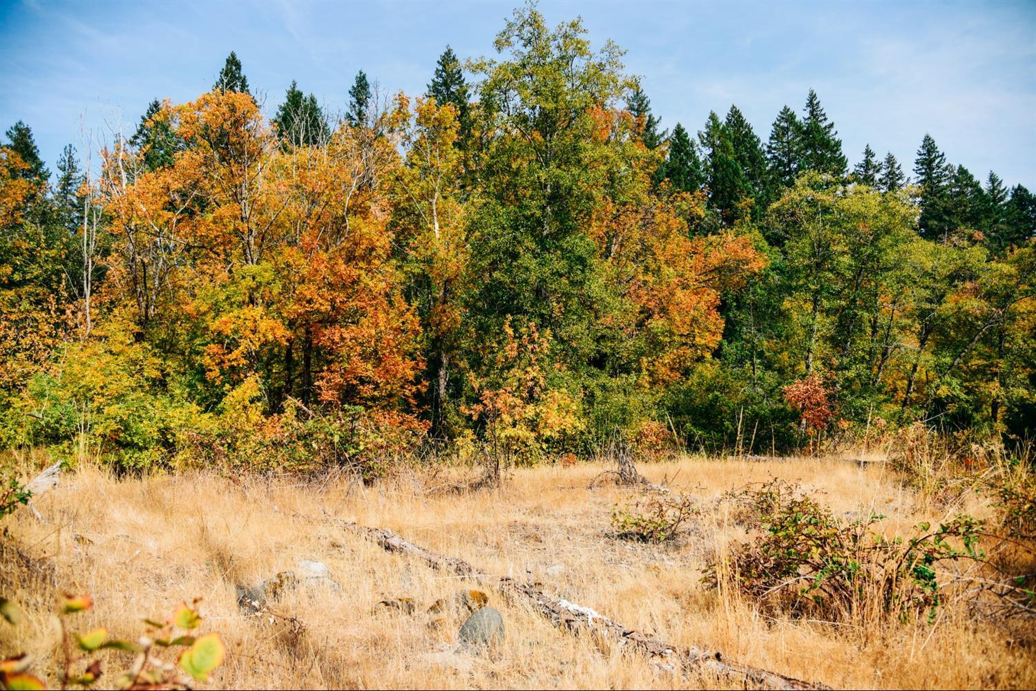 0 Lone Mountain Road, Unit TL601 O'Brien, OR 97534 - Photo 5 of 5 Additional Photo