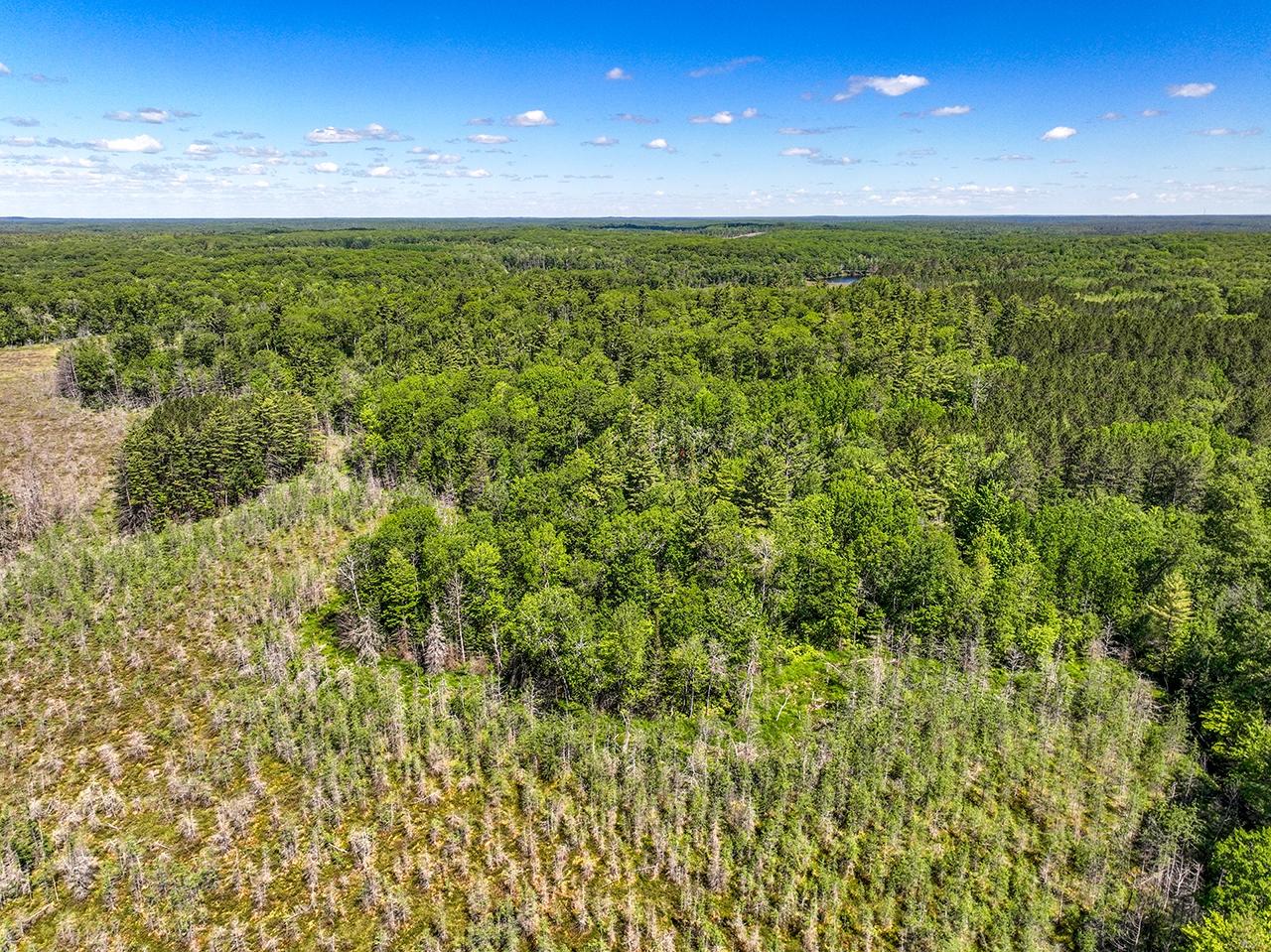 7895 Alva Lake Road Lake Tomahawk, WI 54539 - Photo 63 of 85 Gallery Image 63