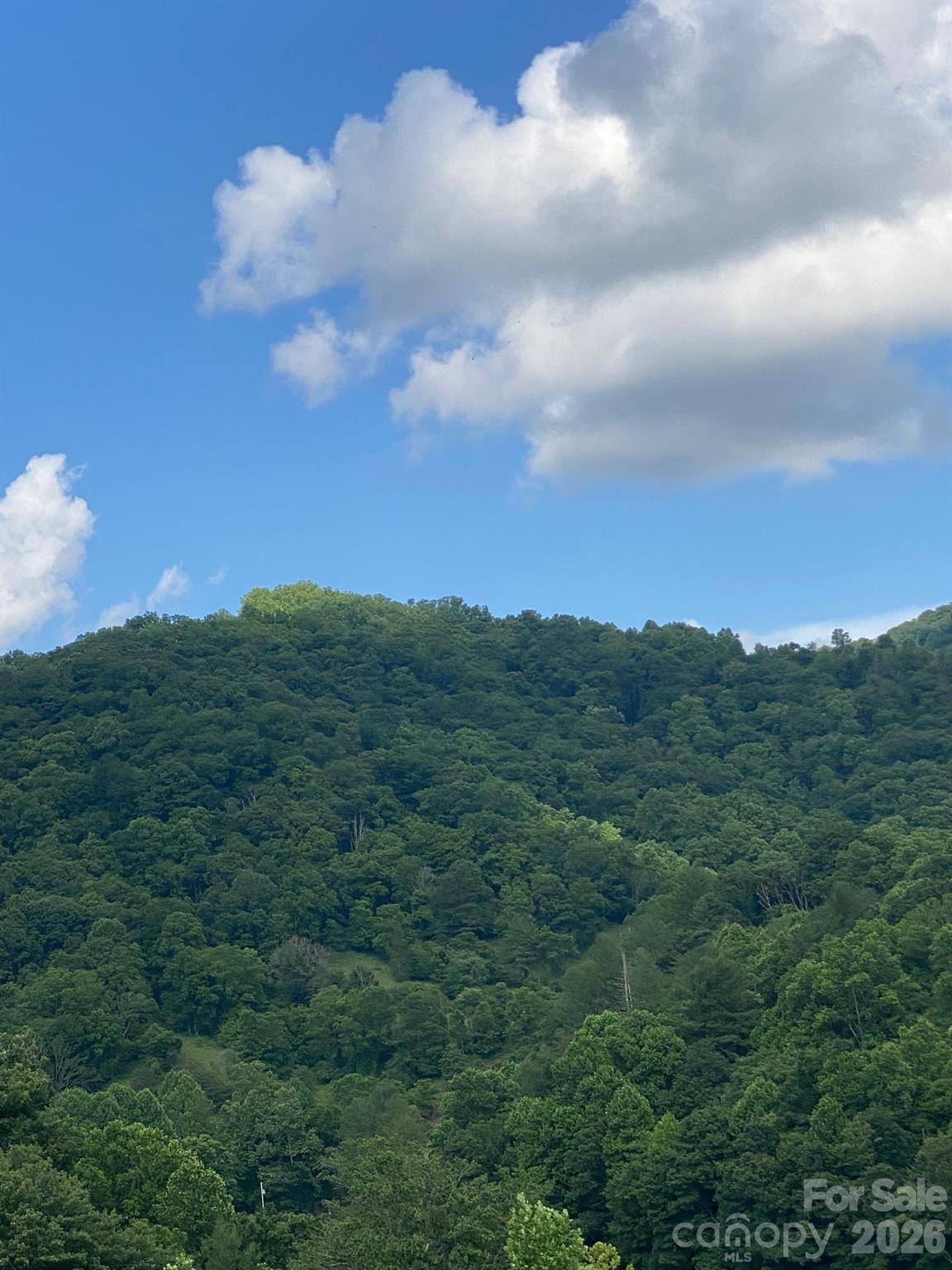 0 East Fork Road Marshall, NC 28753 - Photo 16 of 22