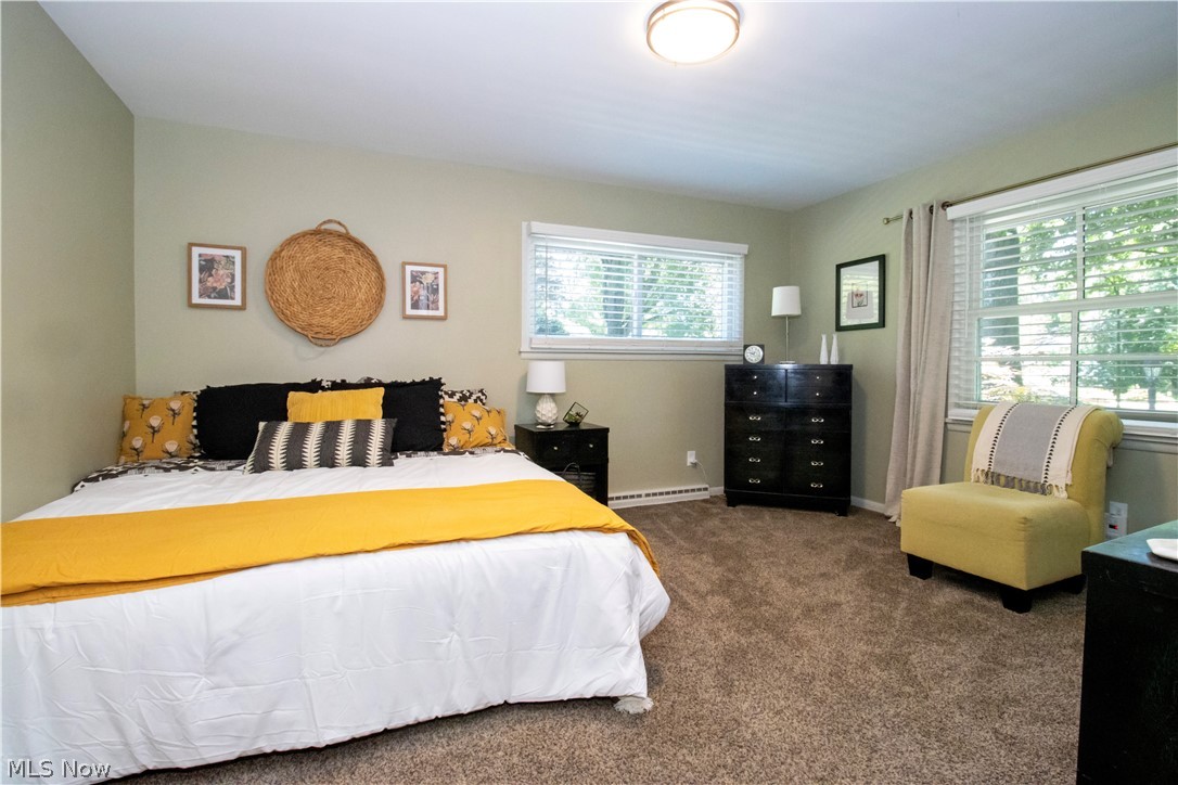 427 Oakley Road Wooster, OH 44691 - Photo 22 of 38 Bedroom with multiple windows, a baseboard radiator, and carpet floors