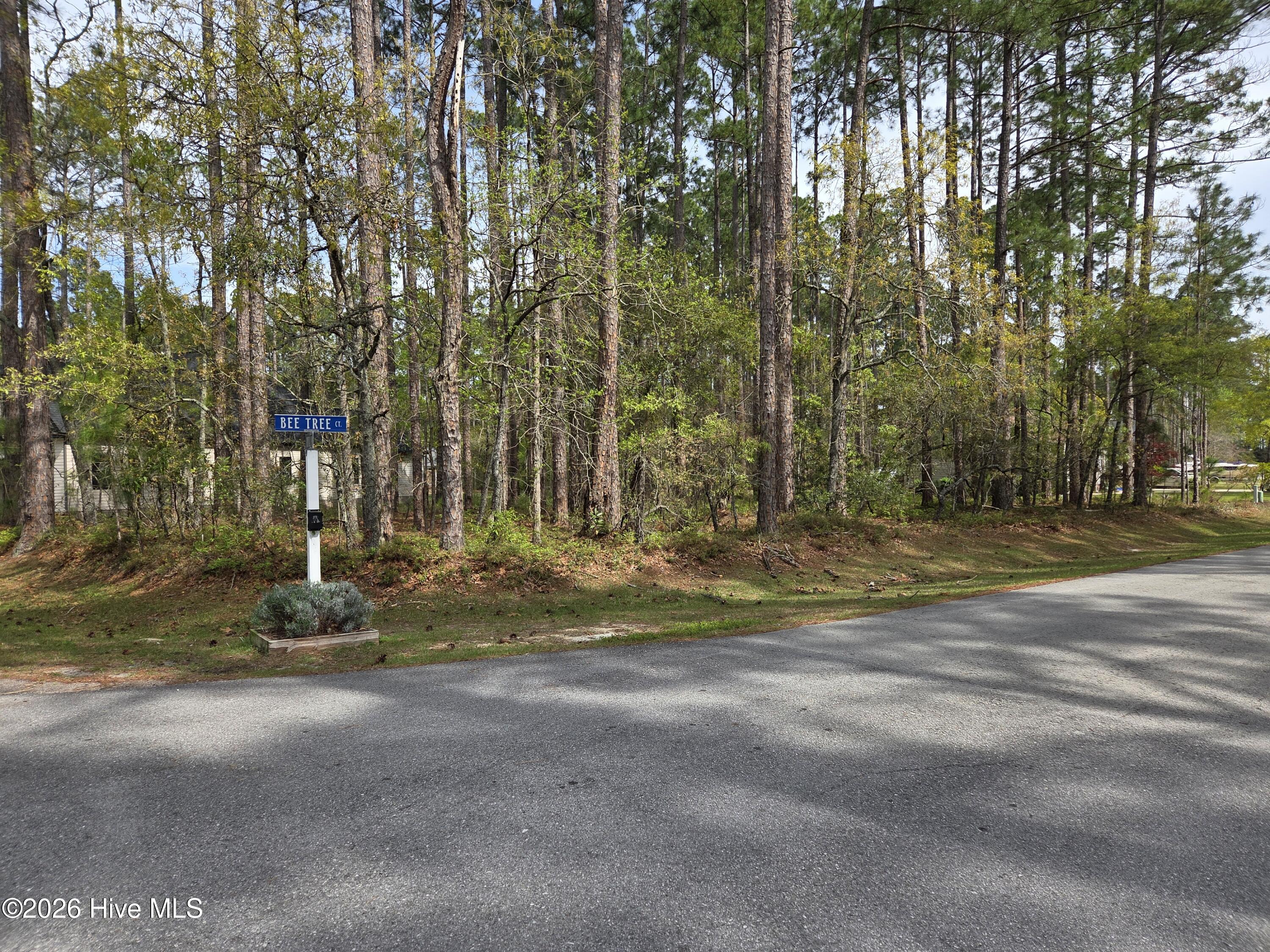 901 Bee Tree Ct lot photo