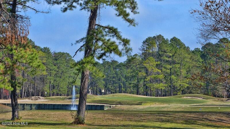 901 Bee Tree Court New Bern, NC 28560 - Photo 2 of 5 golf
