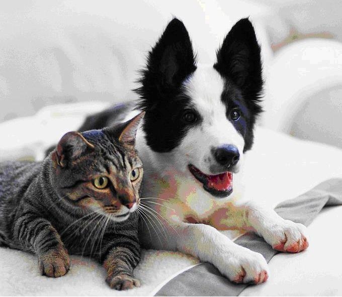 99 Powers Street, Unit 131 Milford, NH 03055 - Photo 49 of 49