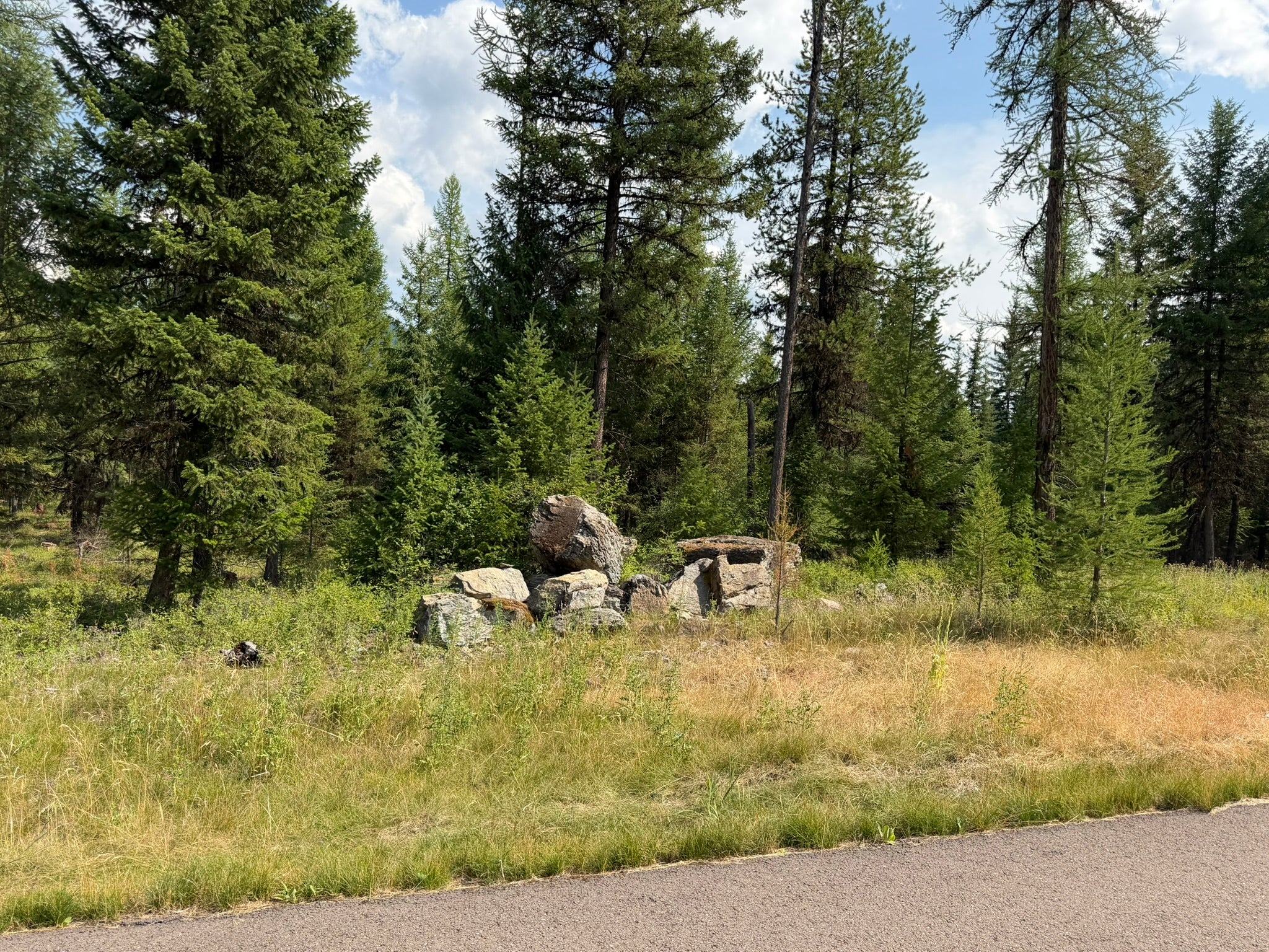 517 Haskill Rnch Road Kila, MT 59920 - Photo 11 of 26 Gallery Image 11