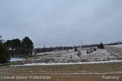 2950 Oak Grove Road North Branch, MI 48461 - Photo 6 of 22 Side Property.JPG
