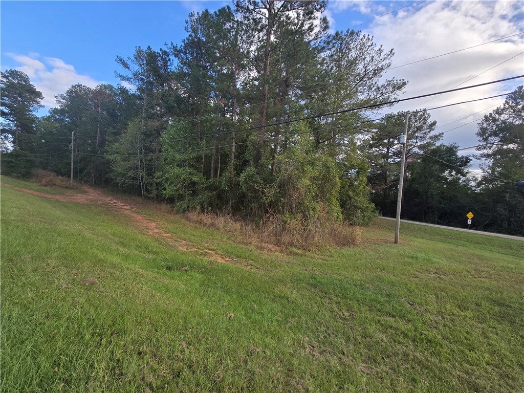 0 Newton Road Valley, AL 36854 - Photo 1 of 4 Gallery Image 1