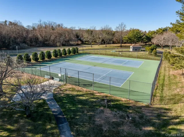 a view of swimming pool with a yard