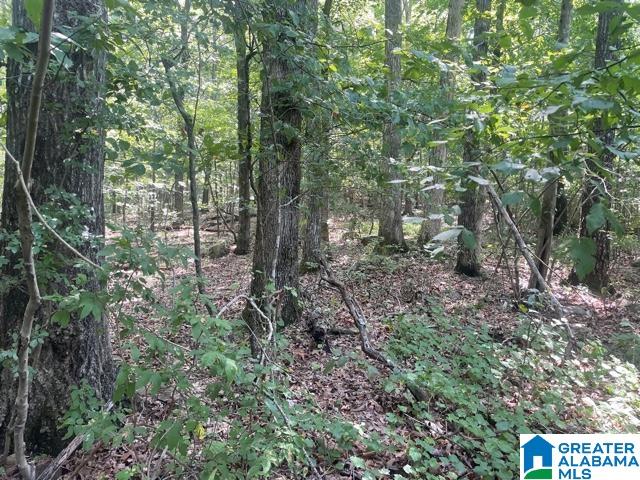 Heritage Road, Unit 1 001 Oneonta, AL 35121 - Photo 2 of 16 Gallery Image 2