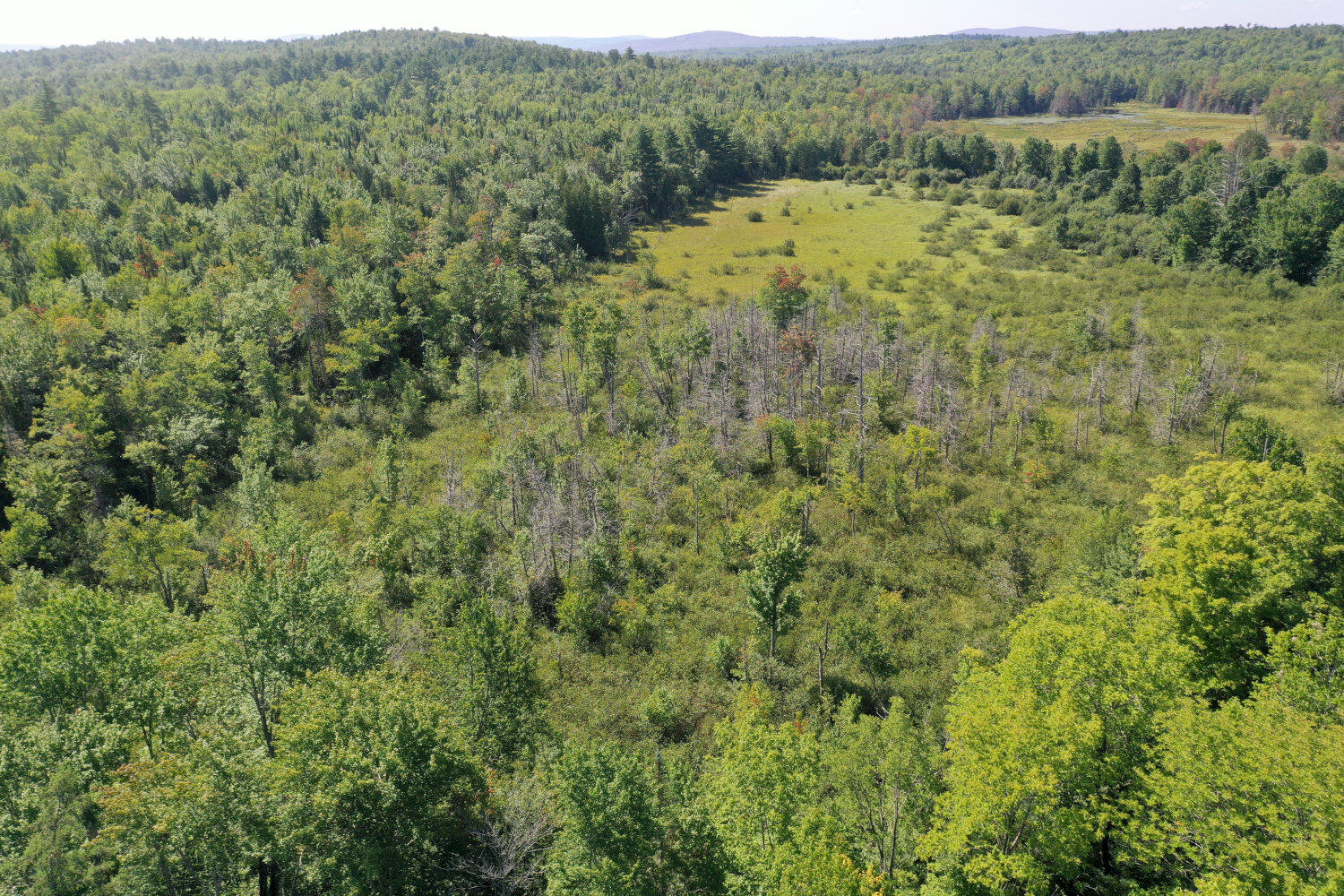 138 Butterfield Road Farmington, ME 04938 - Photo 36 of 36 DJI_0618_result
