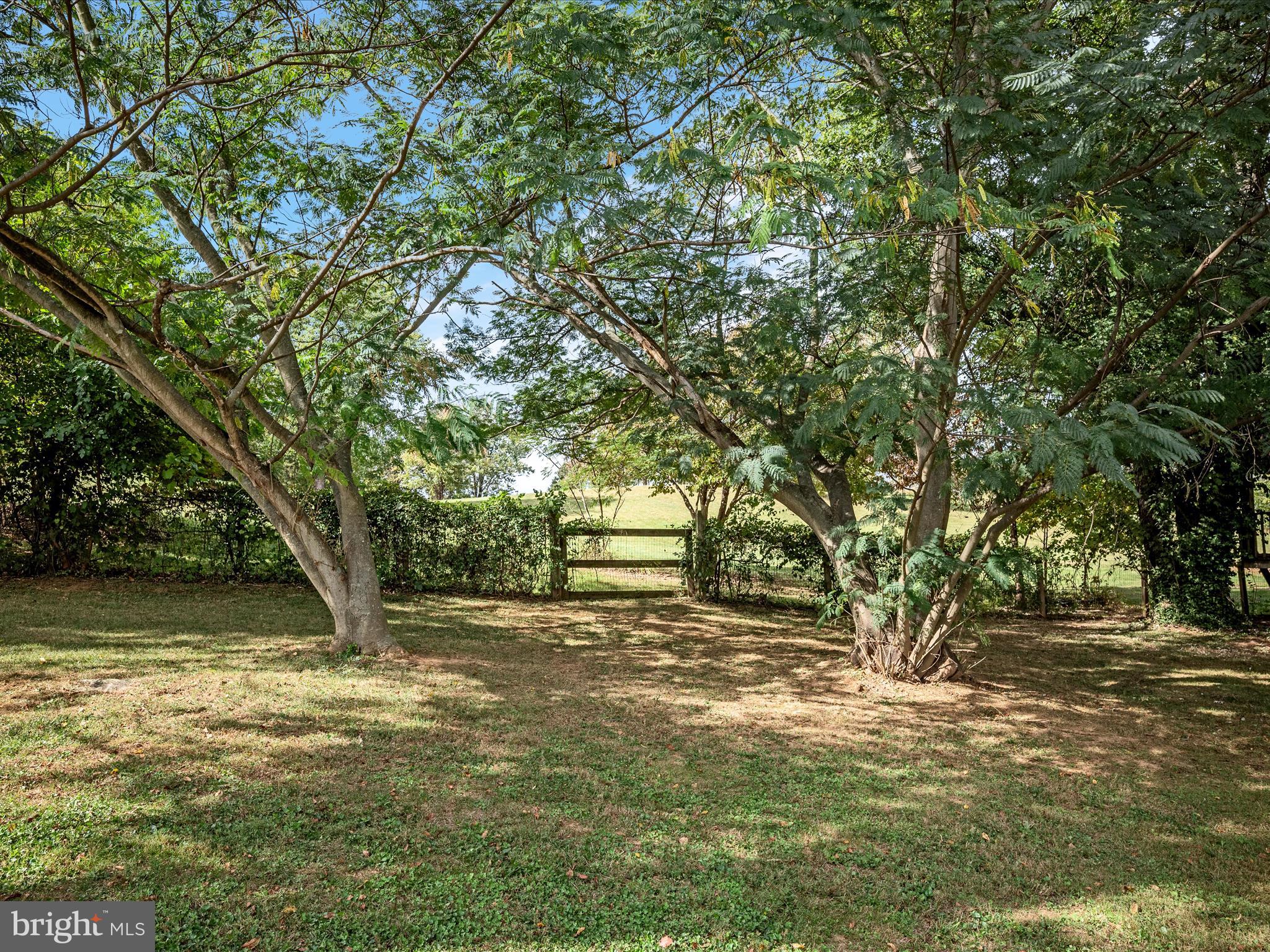 3187 Bishop Meade Road Boyce, VA 22620 - Photo 4 of 77 Backyard