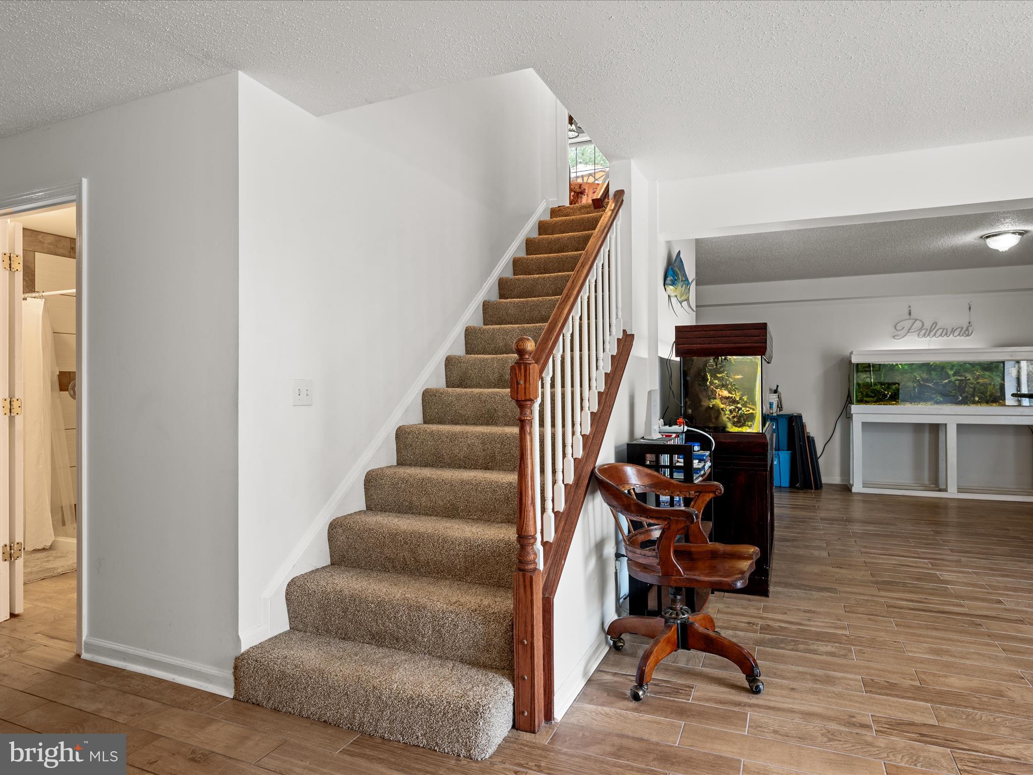 3187 Bishop Meade Road Boyce, VA 22620 - Photo 48 of 77 Basement