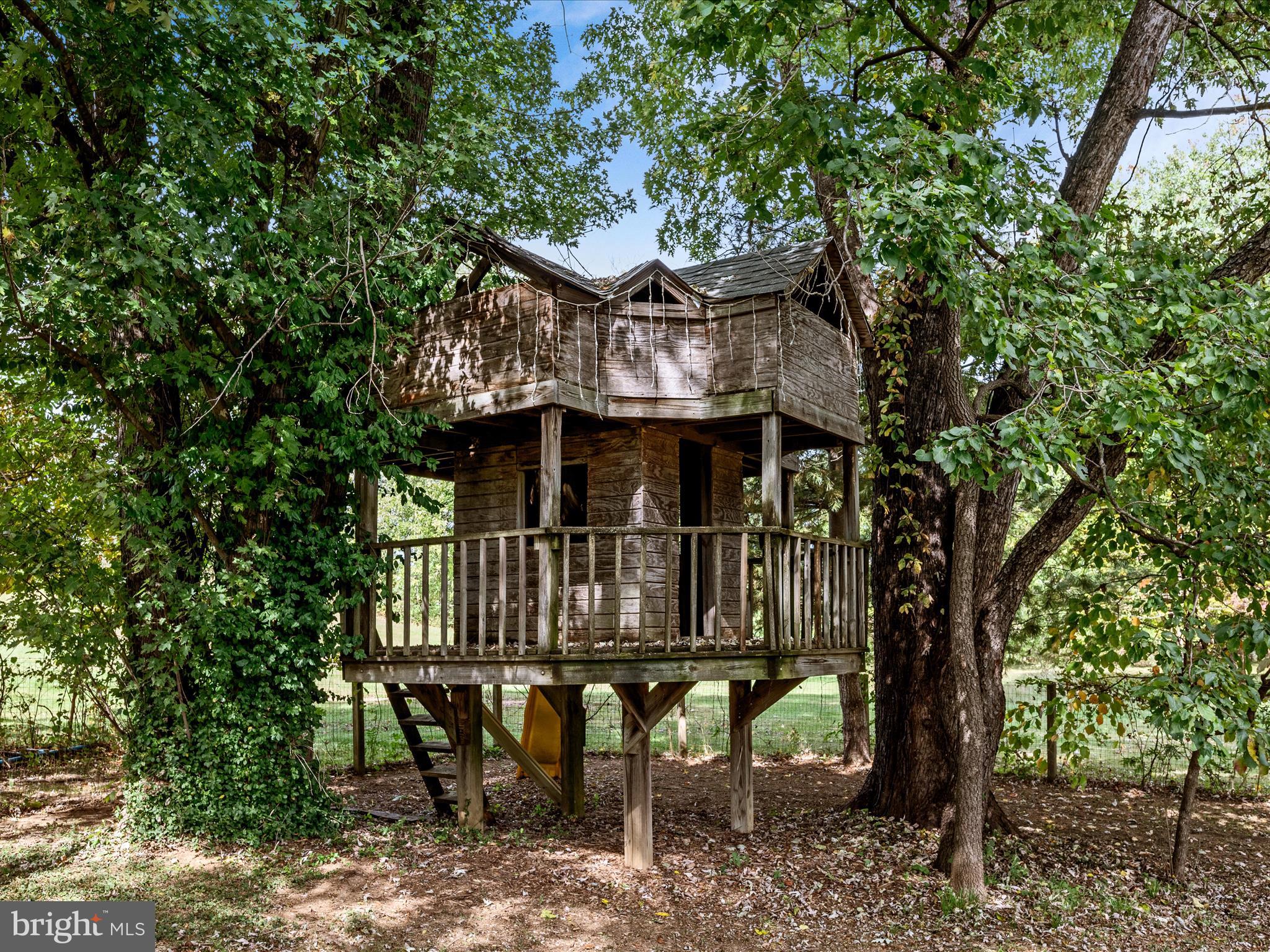 3187 Bishop Meade Road Boyce, VA 22620 - Photo 60 of 77 Treehouse