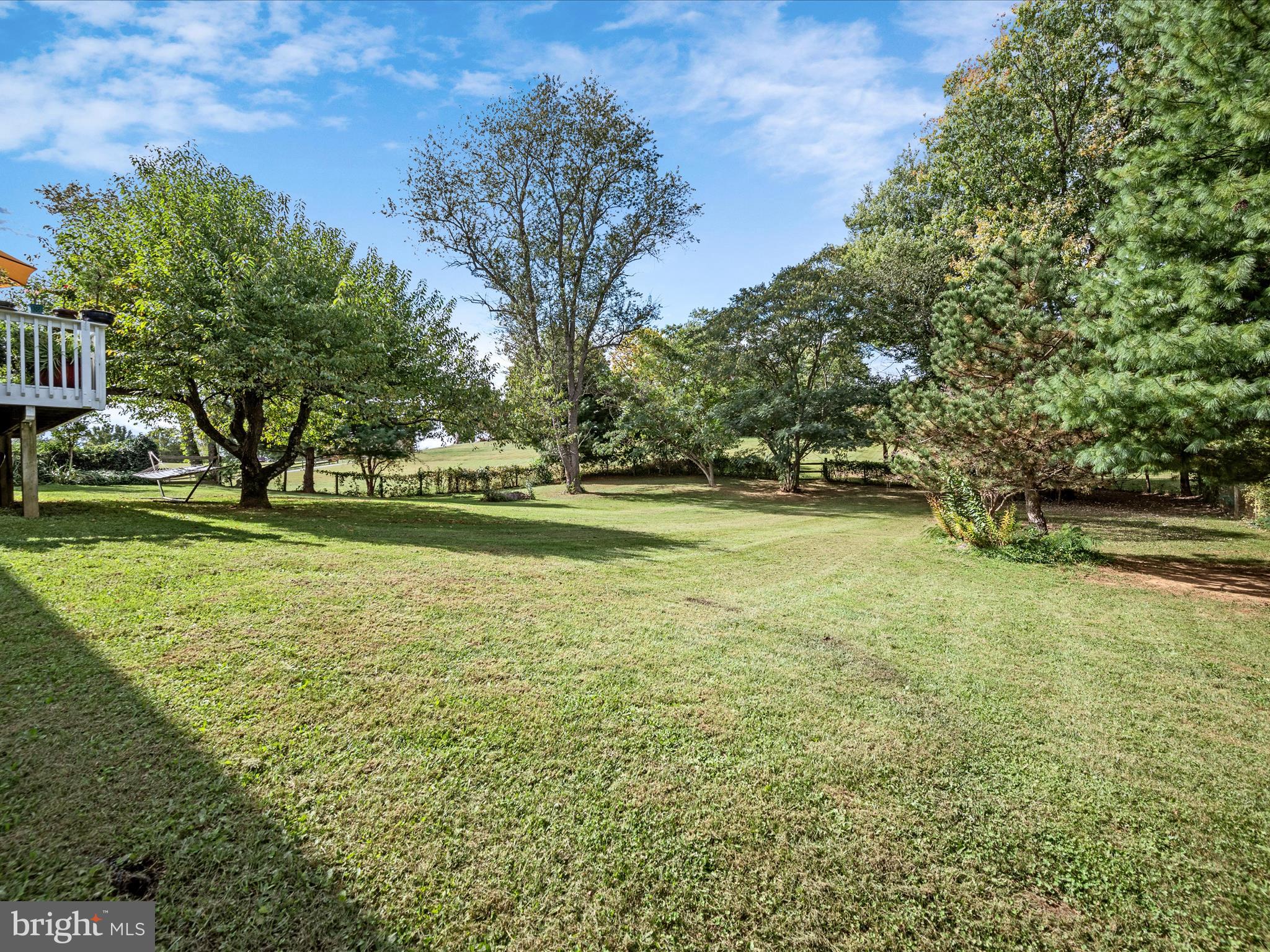 3187 Bishop Meade Road Boyce, VA 22620 - Photo 61 of 77 Backyard