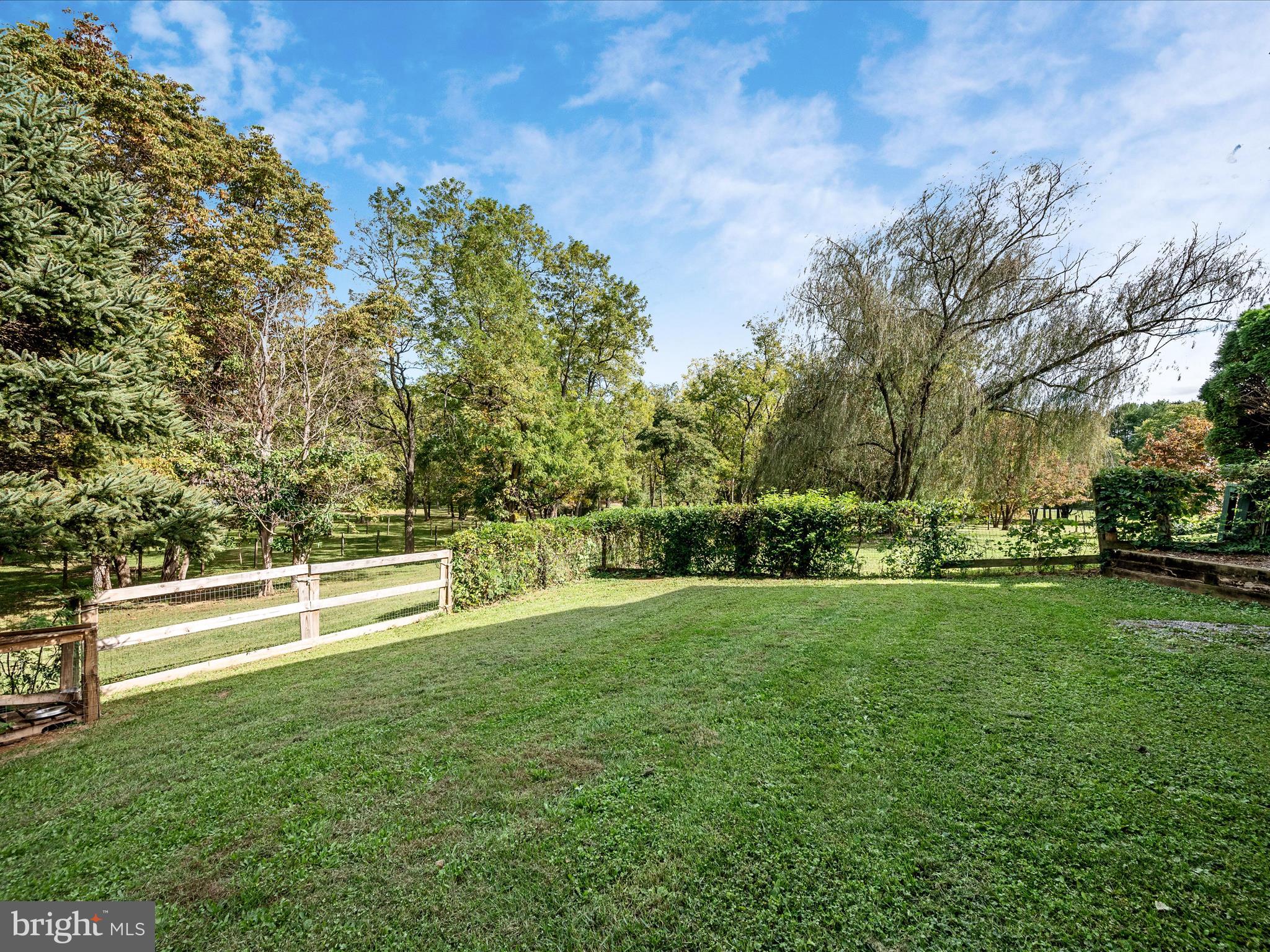 3187 Bishop Meade Road Boyce, VA 22620 - Photo 62 of 77 Backyard