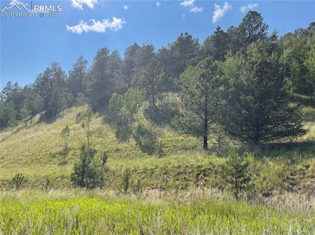 113 Beaver Pond Road Divide, CO 80814 - Photo 4 of 6 Gallery Image 4