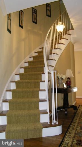 8503 Forrester Boulevard Springfield, VA 22152 - Photo 13 of 27 Interior (General)