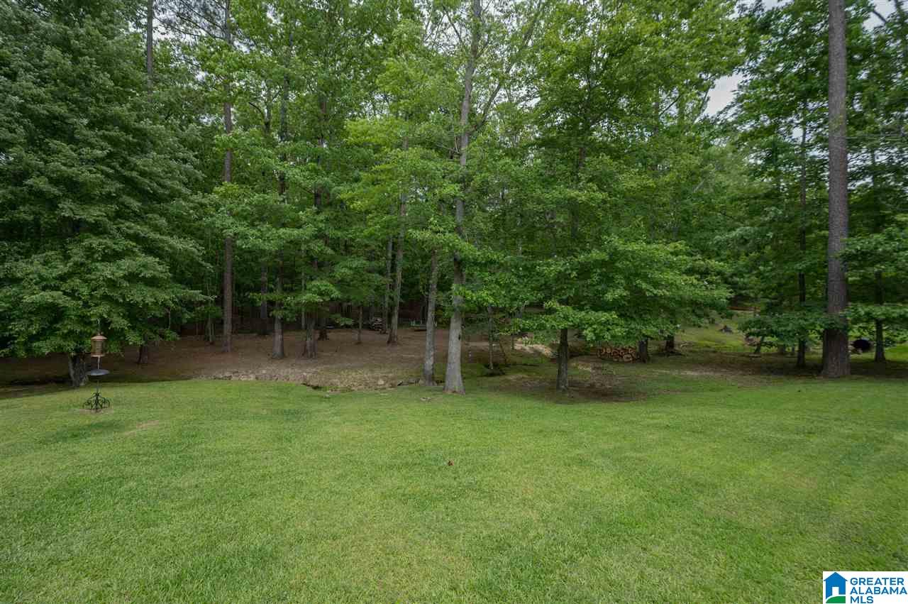 113 Shetland Trail Alabaster, AL 35007 - Photo 49 of 50