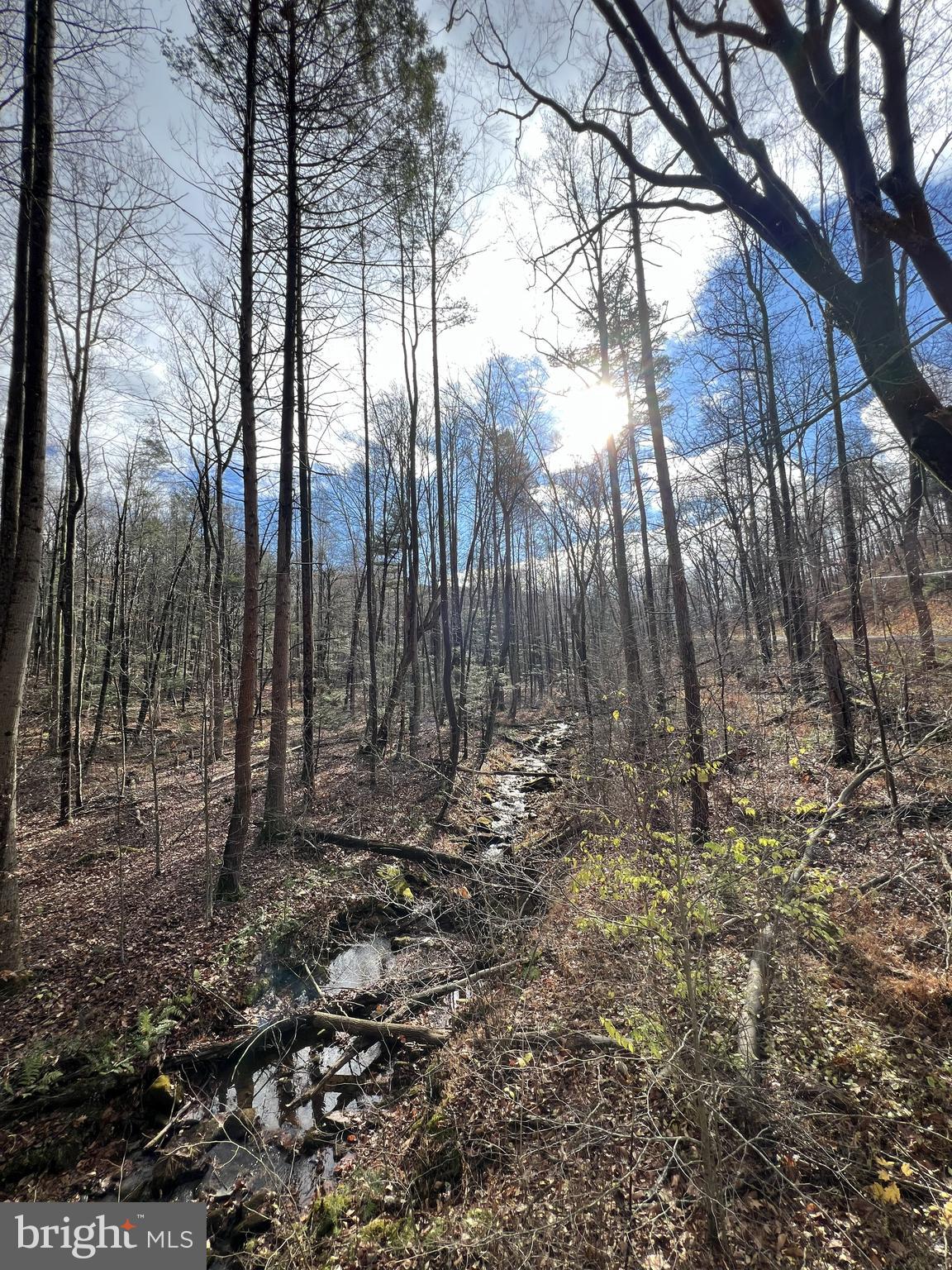 1092 Robinson Road Blain, PA 17006 - Photo 12 of 12 a view of a yard with large trees