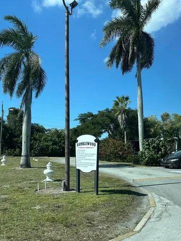 a view of a park with a tree