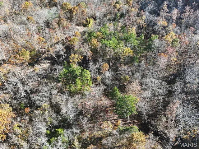 $150,450 | 1 Bcr 930, Patton, MO 63662