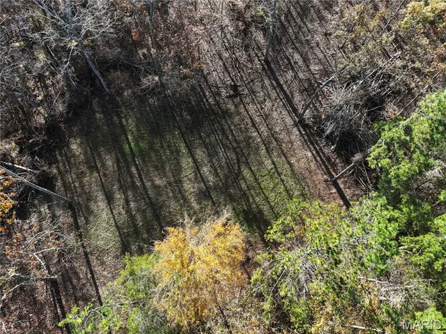 $155,550 | 1 Bcr 930, Patton, MO 63662