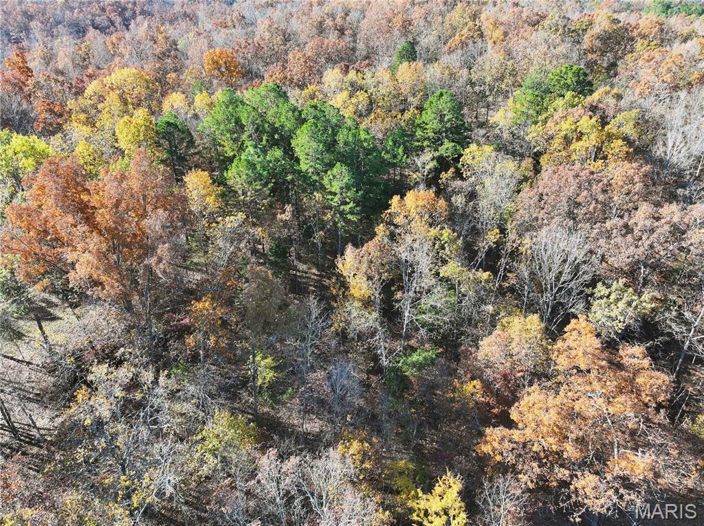 1 Bcr 930 Patton, MO 63662 - Photo 23 of 36