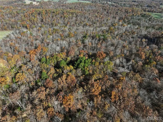 $150,450 | 1 Bcr 930, Patton, MO 63662