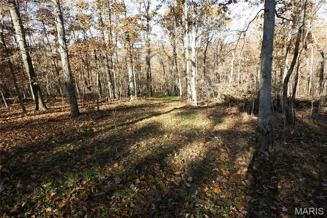 $150,450 | 1 Bcr 930, Patton, MO 63662