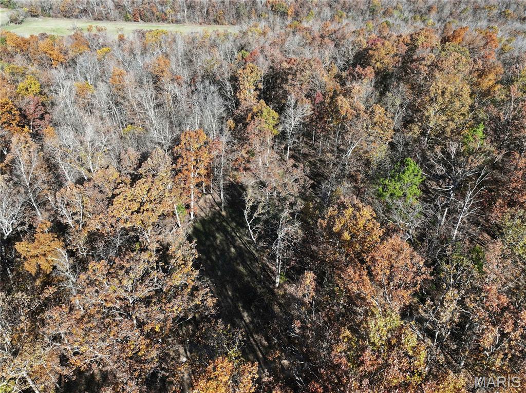 1 Bcr 930 Patton, MO 63662 - Photo 6 of 36