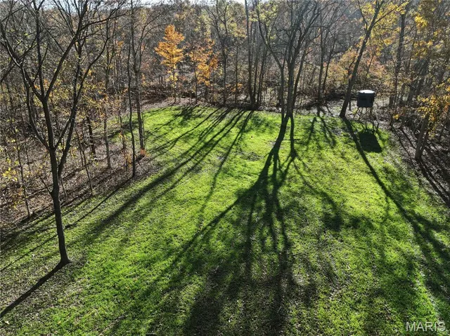 $150,450 | 1 Bcr 930, Patton, MO 63662