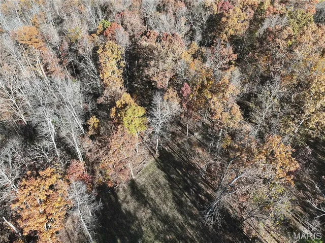 $150,450 | 1 Bcr 930, Patton, MO 63662