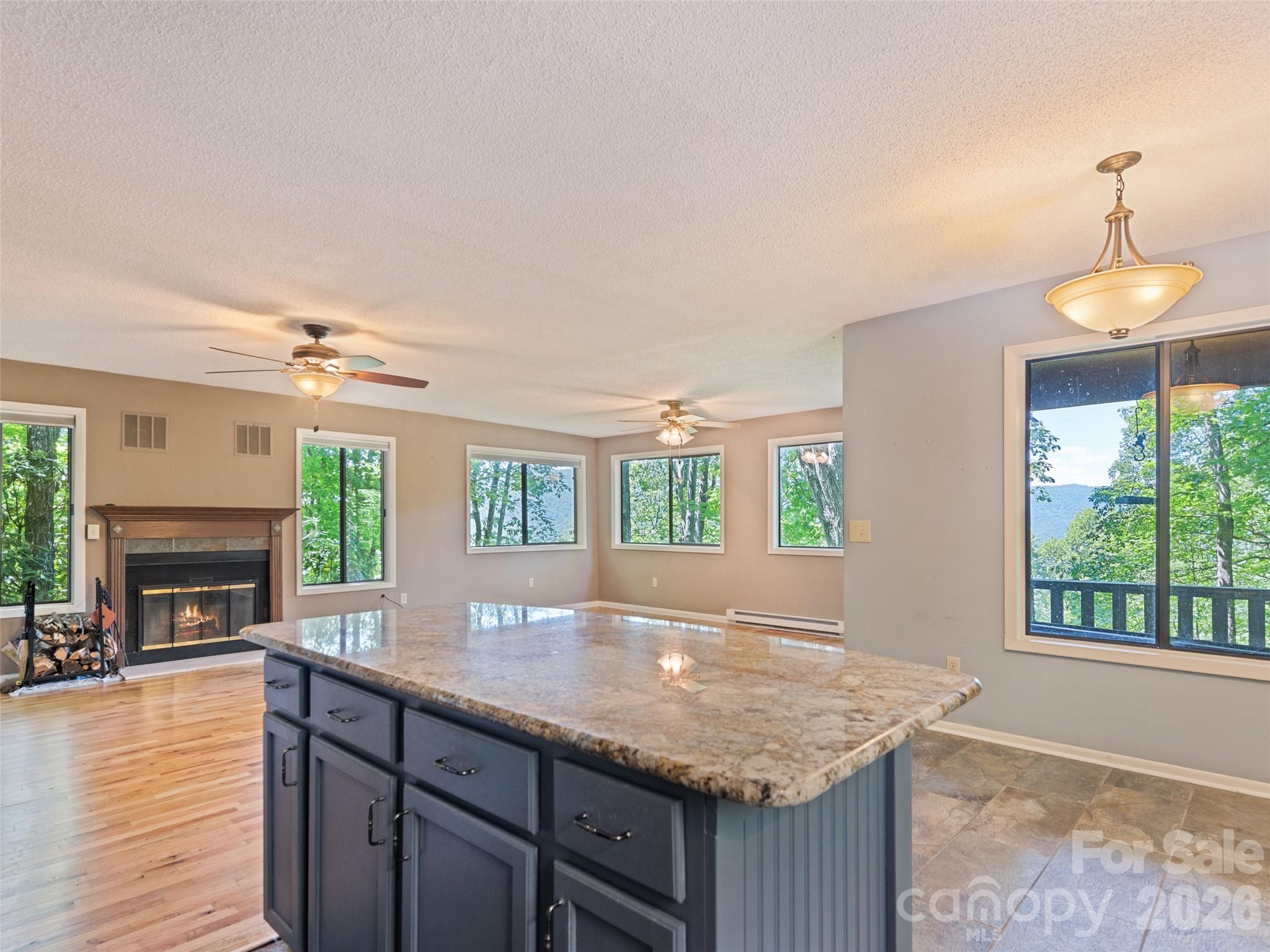 1392 Mt Chalet Road Canton, NC 28716 - Photo 22 of 34