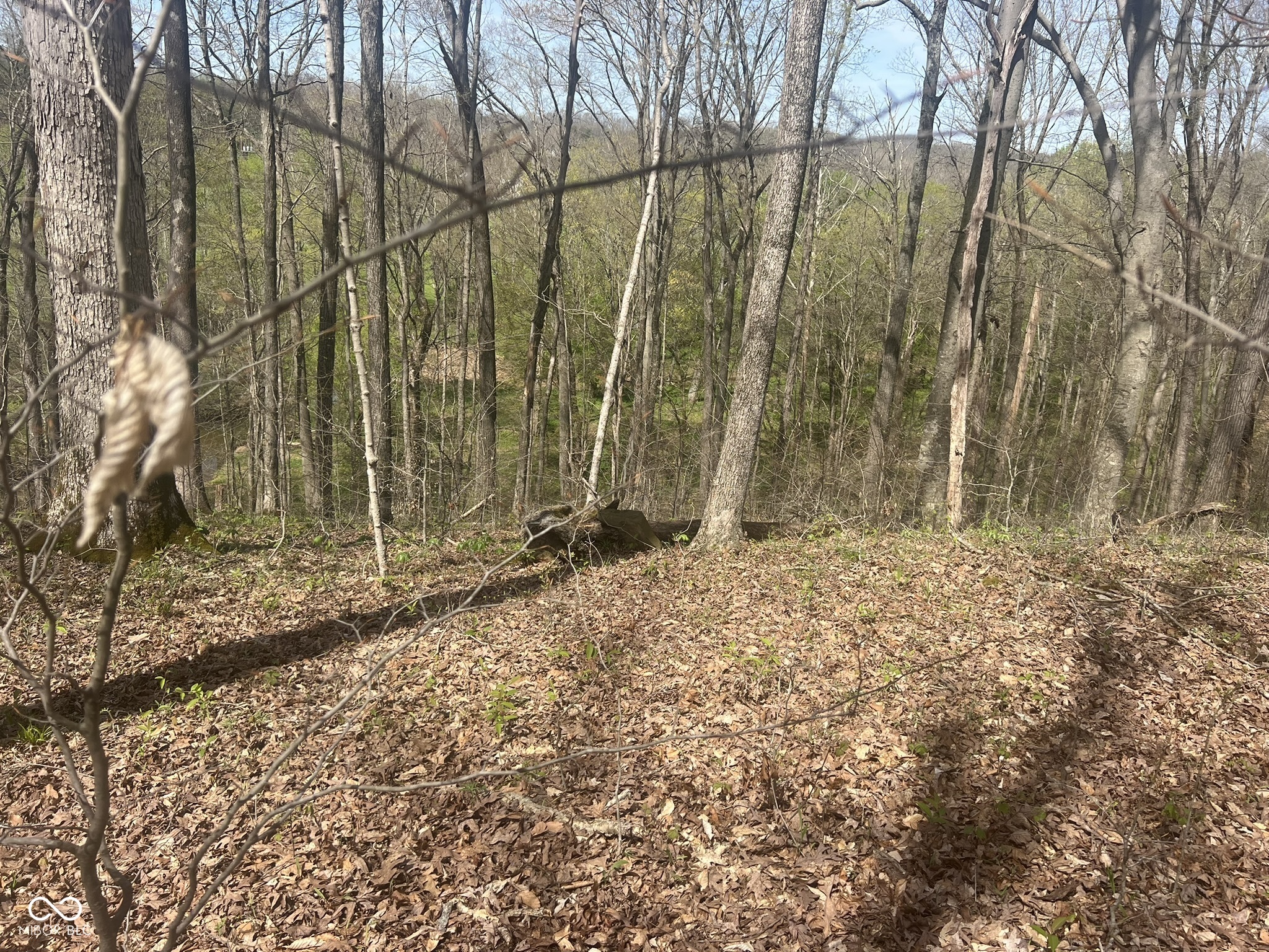 4100 Lower Schooner Road Nashville, IN 47448 - Photo 11 of 32