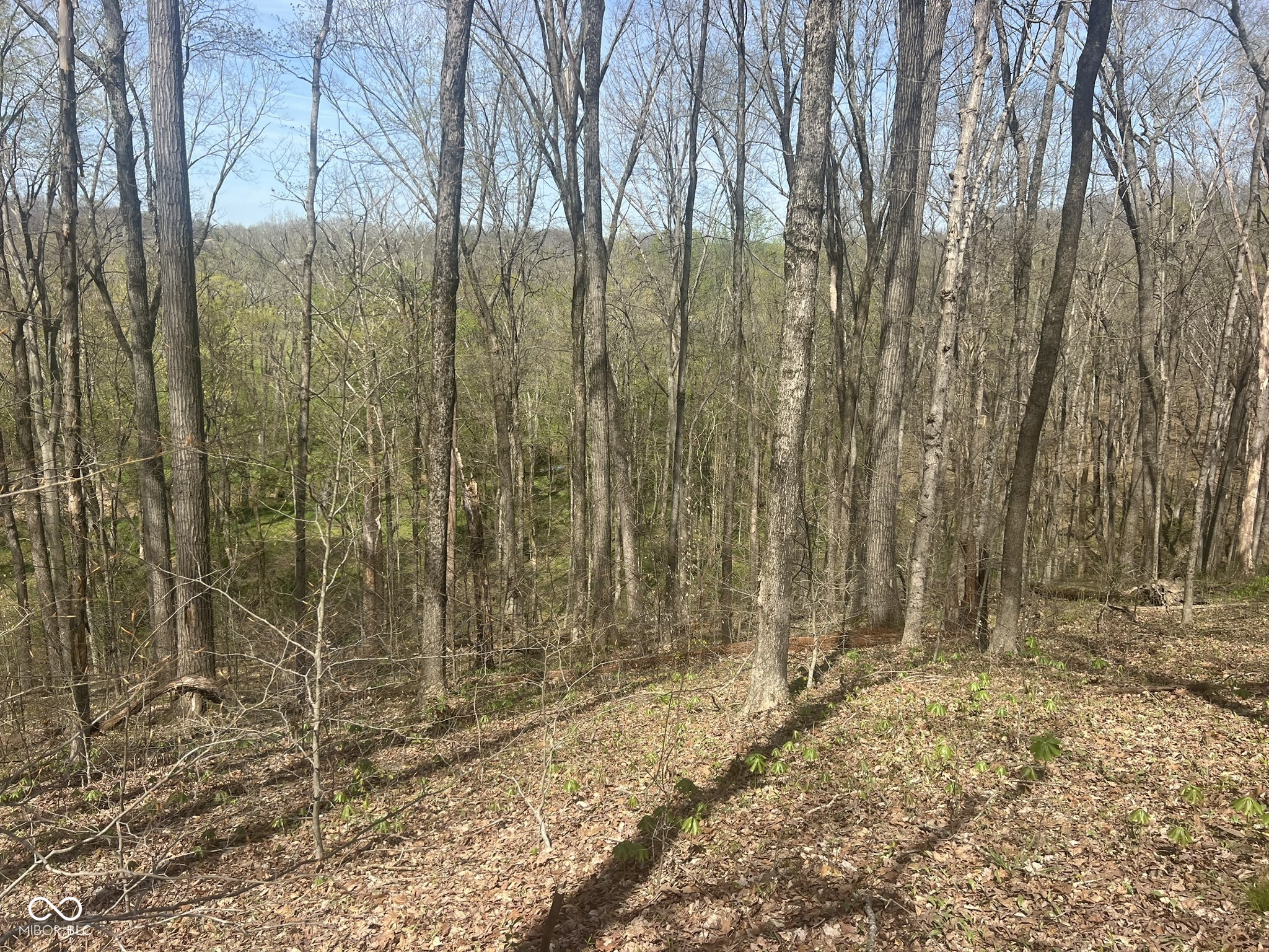 4100 Lower Schooner Road Nashville, IN 47448 - Photo 12 of 32