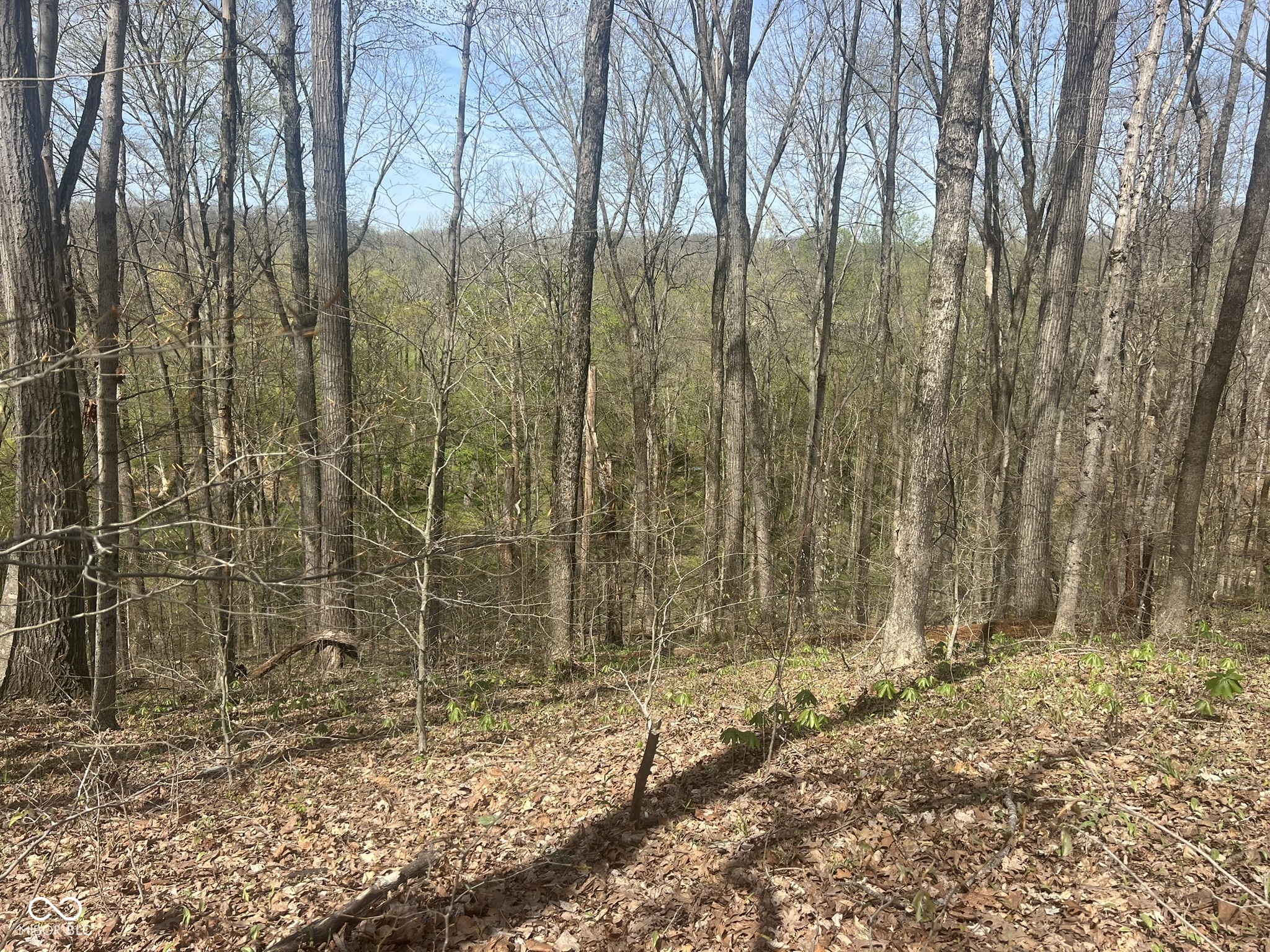 4100 Lower Schooner Road Nashville, IN 47448 - Photo 13 of 32