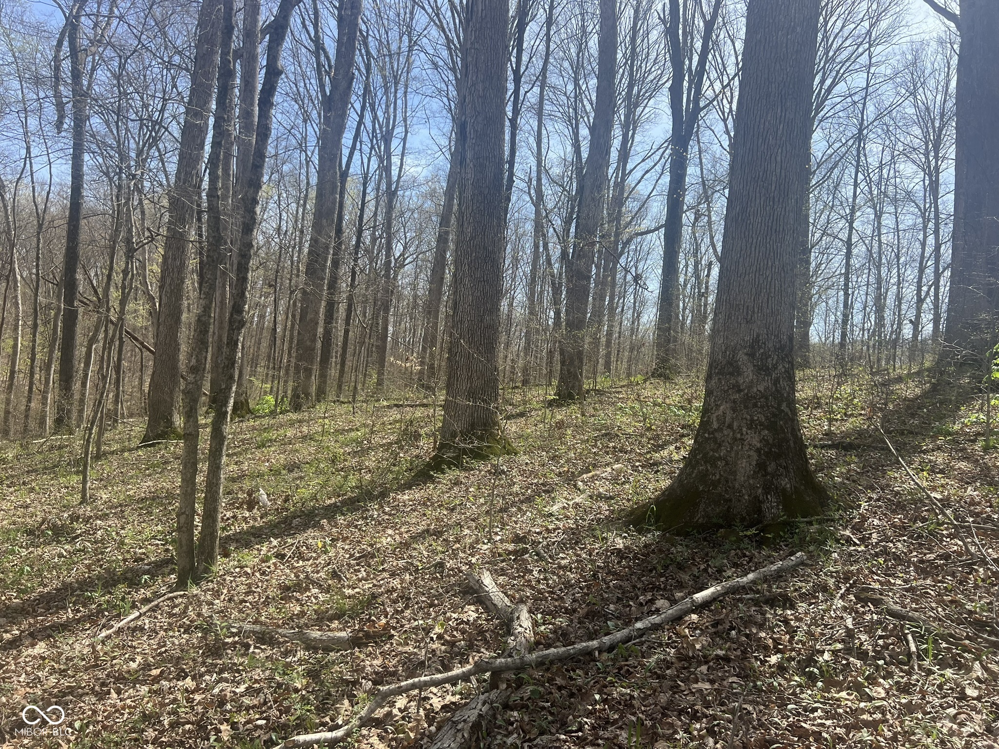 4100 Lower Schooner Road Nashville, IN 47448 - Photo 15 of 32