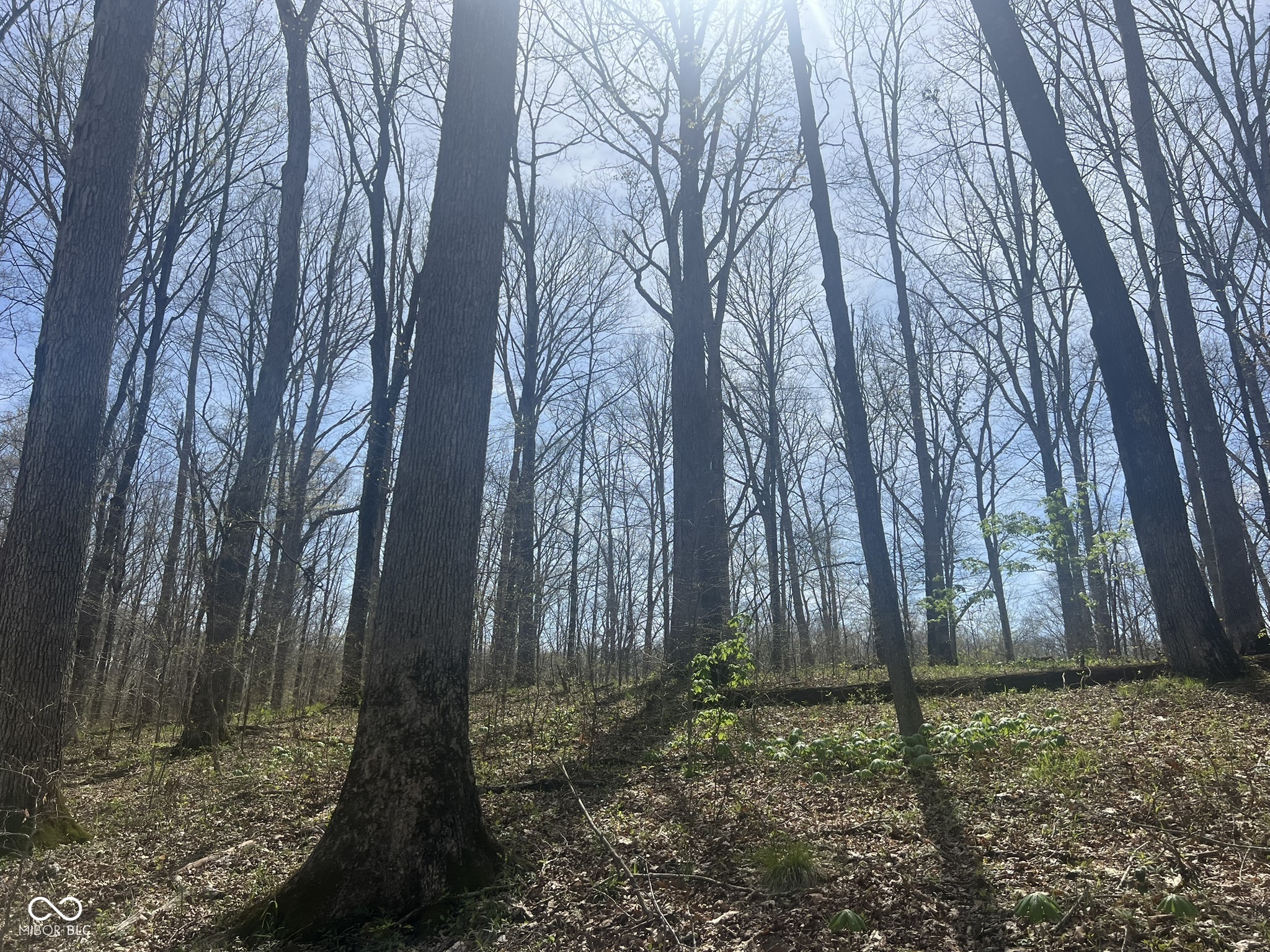 4100 Lower Schooner Road Nashville, IN 47448 - Photo 16 of 32