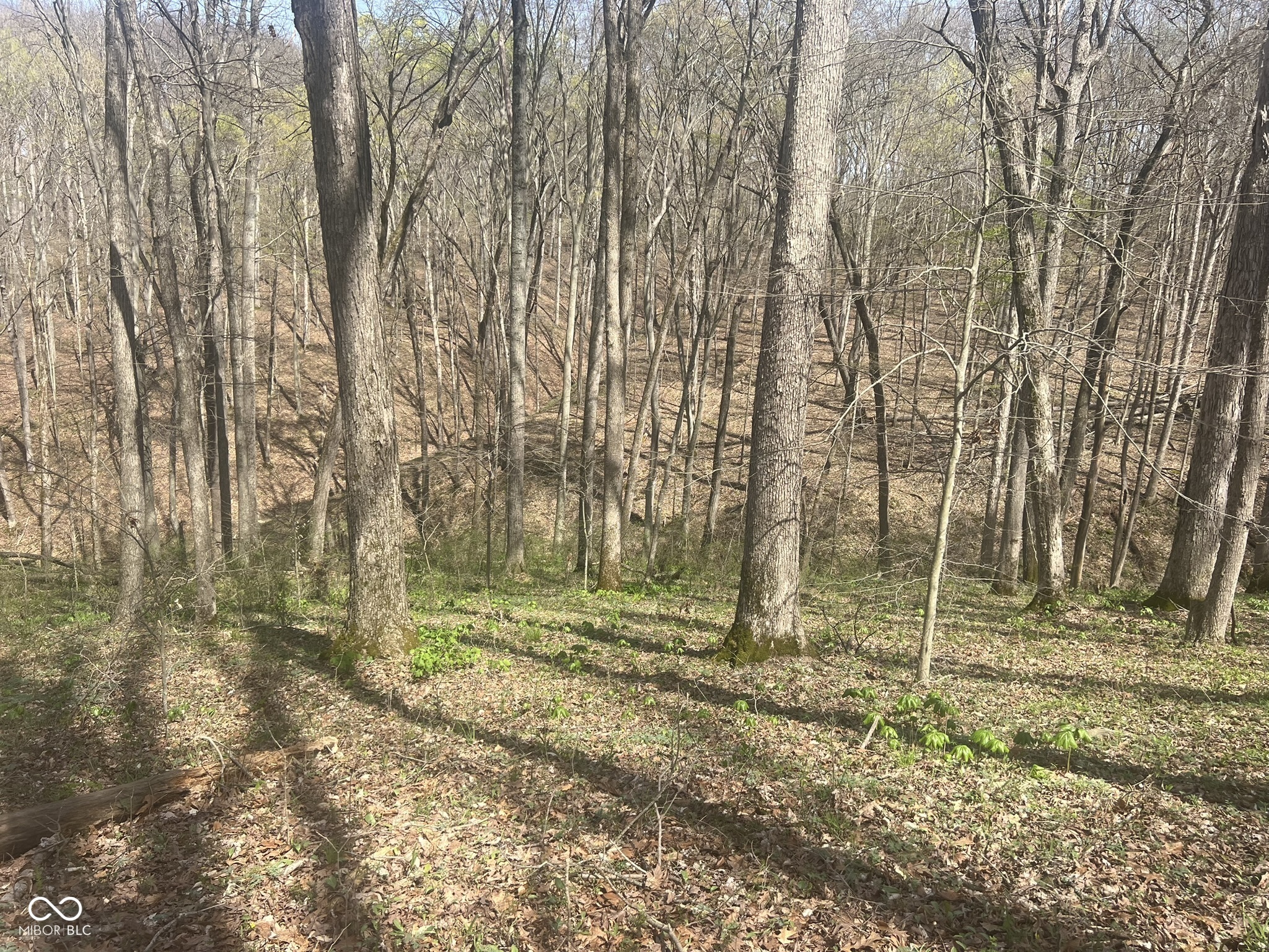 4100 Lower Schooner Road Nashville, IN 47448 - Photo 17 of 32