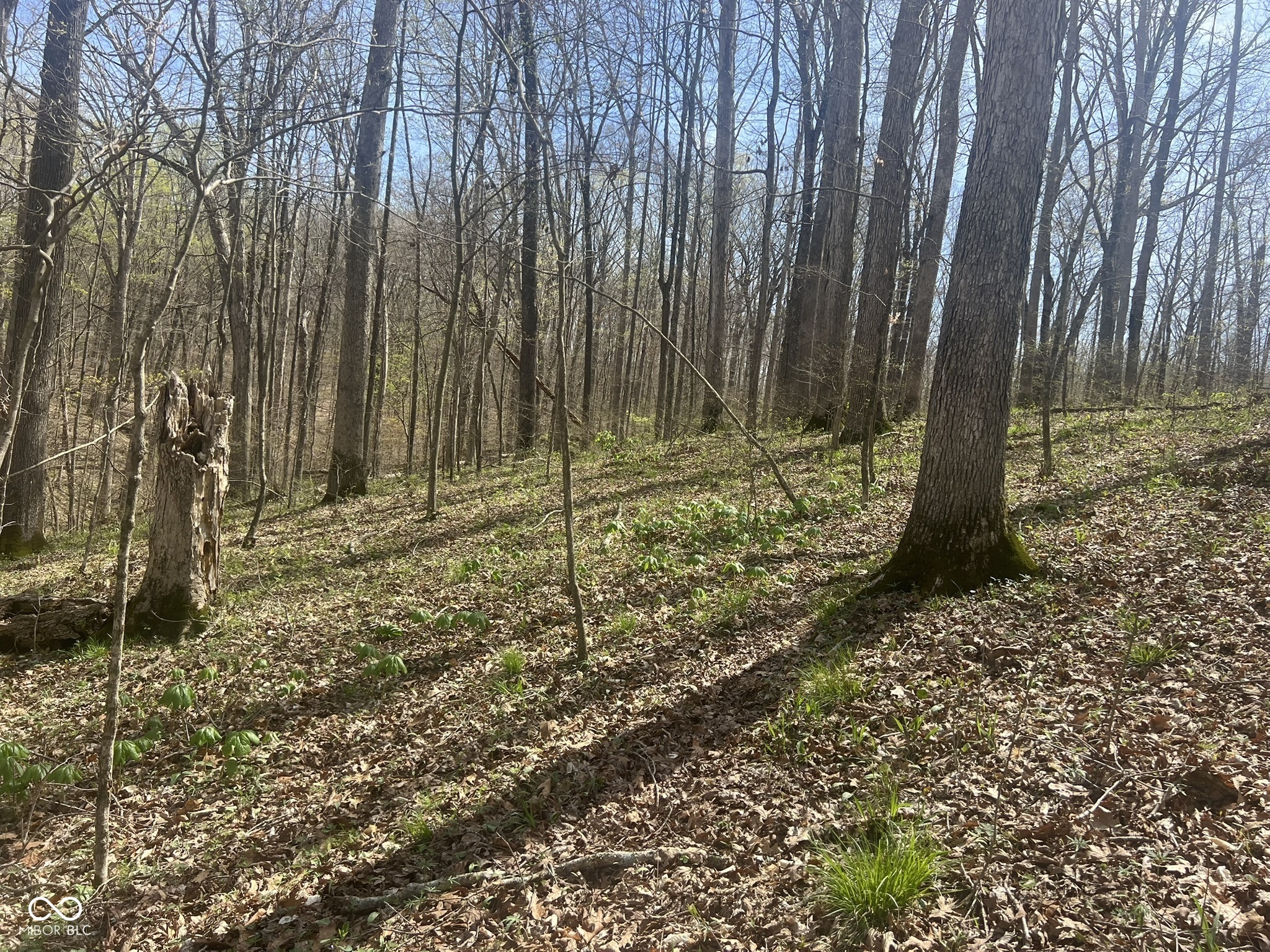 4100 Lower Schooner Road Nashville, IN 47448 - Photo 18 of 32