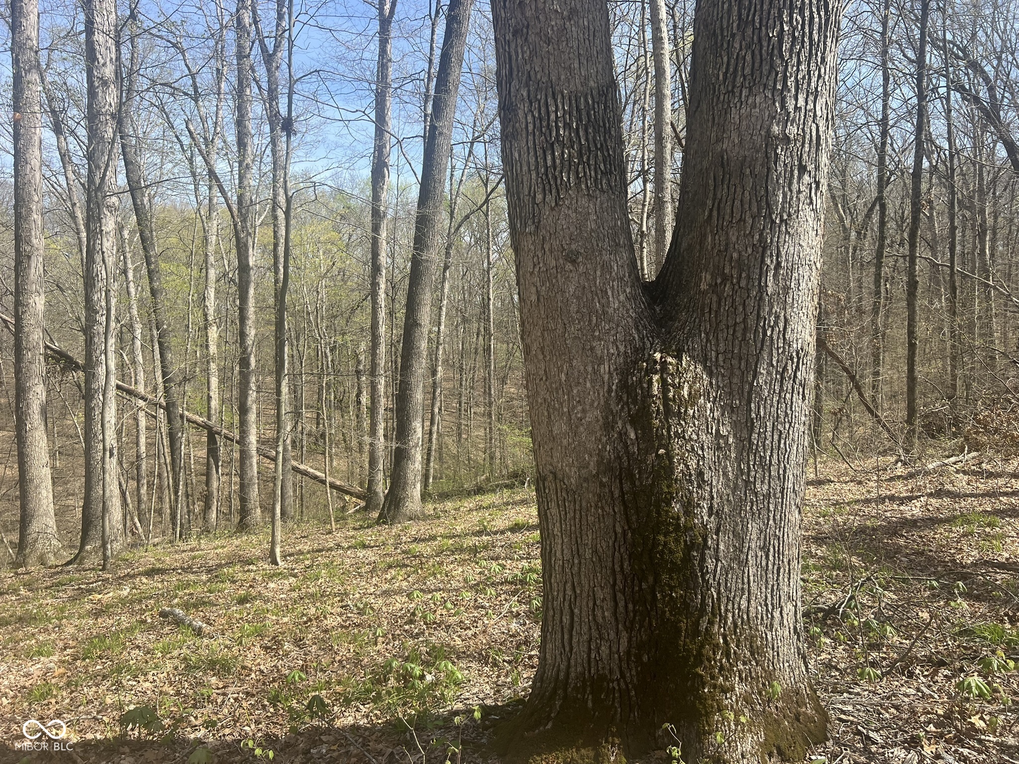 4100 Lower Schooner Road Nashville, IN 47448 - Photo 19 of 32