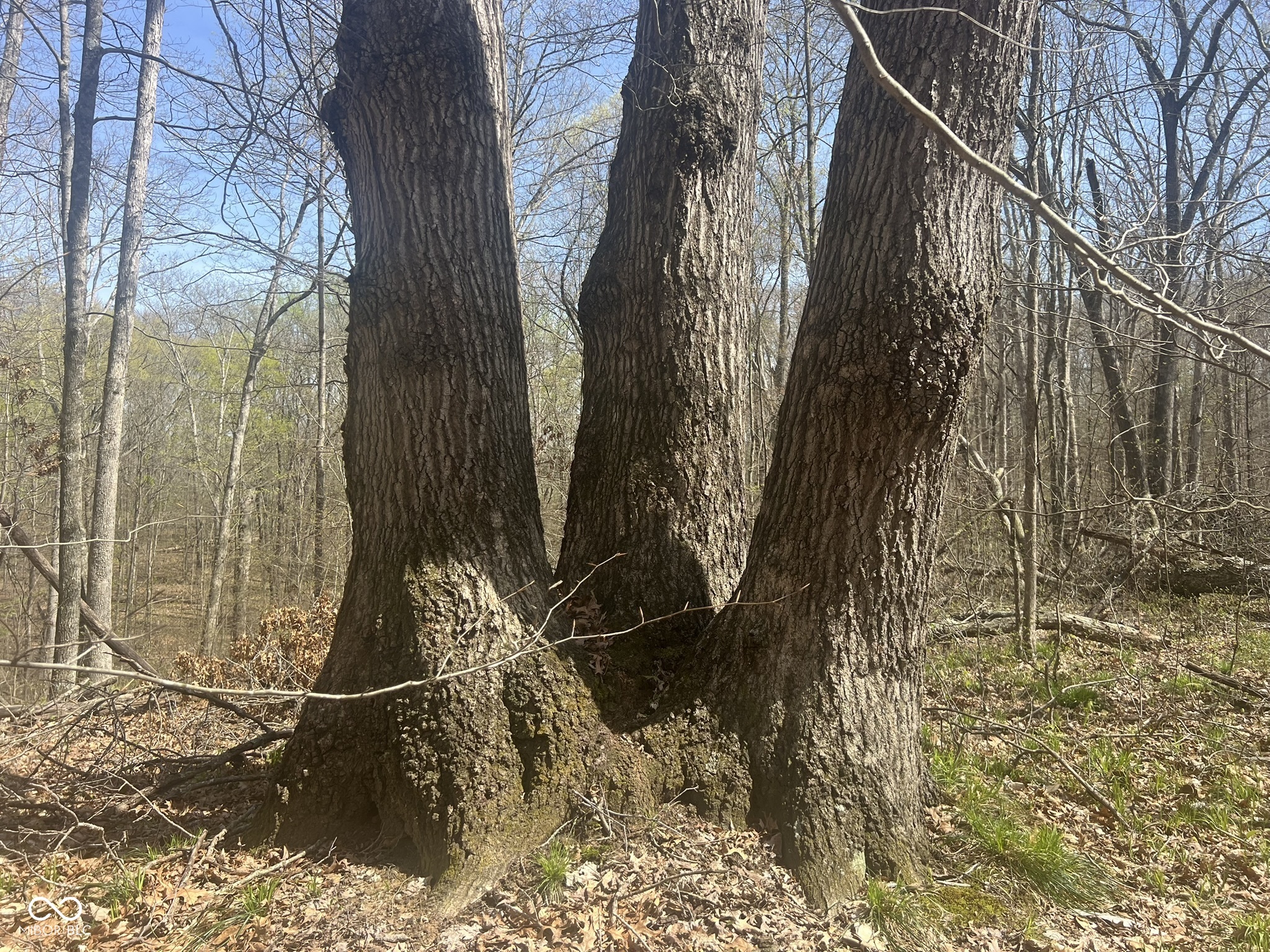 4100 Lower Schooner Road Nashville, IN 47448 - Photo 20 of 32