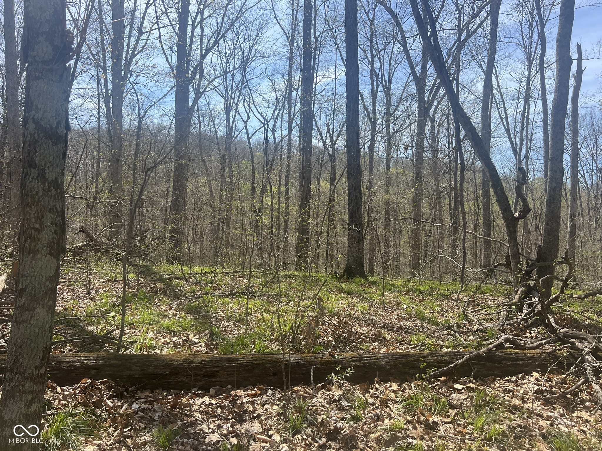 4100 Lower Schooner Road Nashville, IN 47448 - Photo 21 of 32