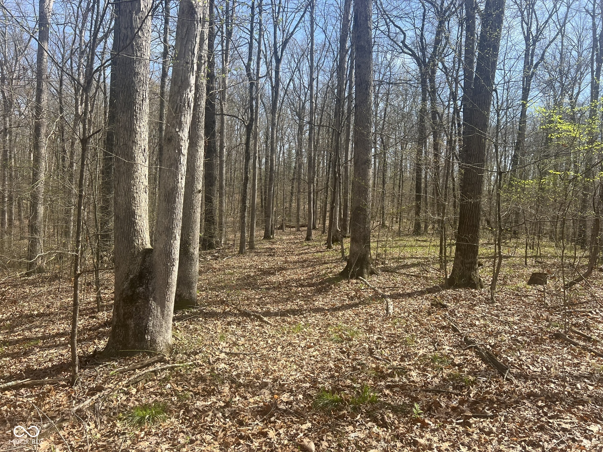 4100 Lower Schooner Road Nashville, IN 47448 - Photo 22 of 32