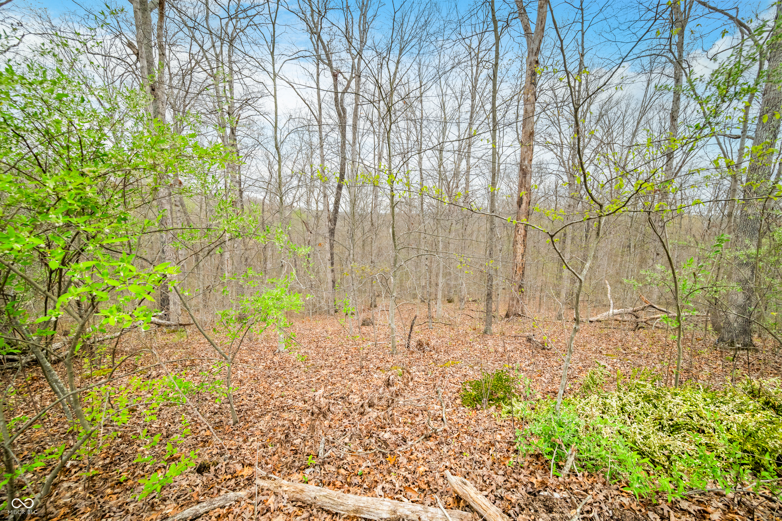 4100 Lower Schooner Road Nashville, IN 47448 - Photo 6 of 32