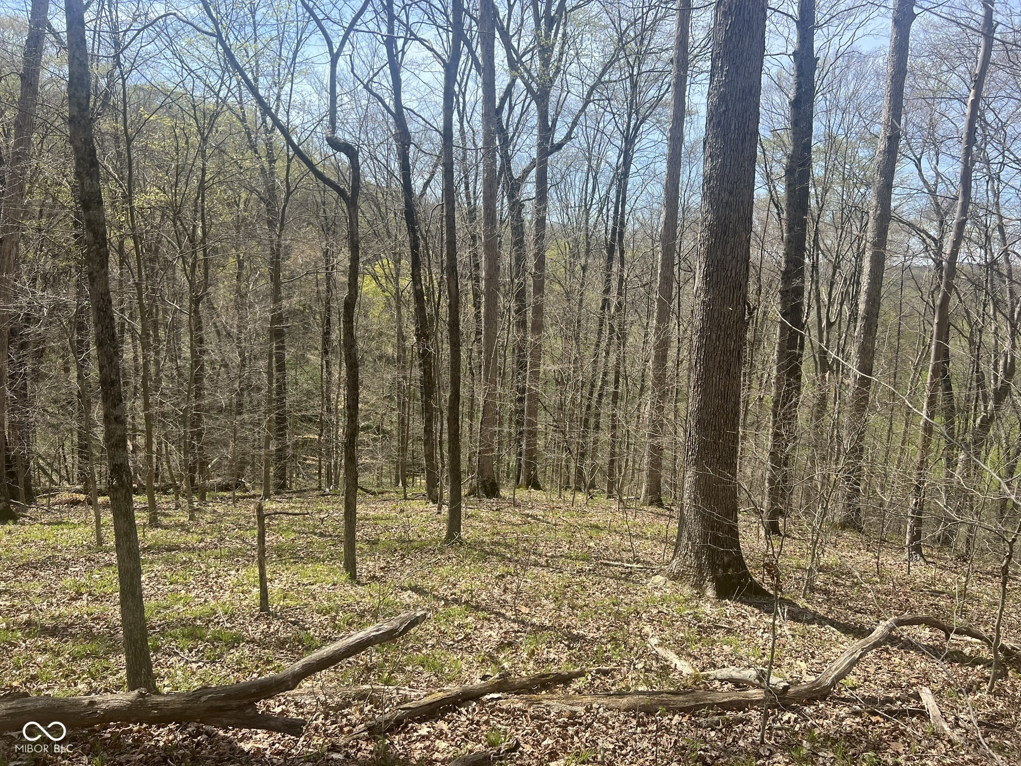 4100 Lower Schooner Road Nashville, IN 47448 - Photo 8 of 32