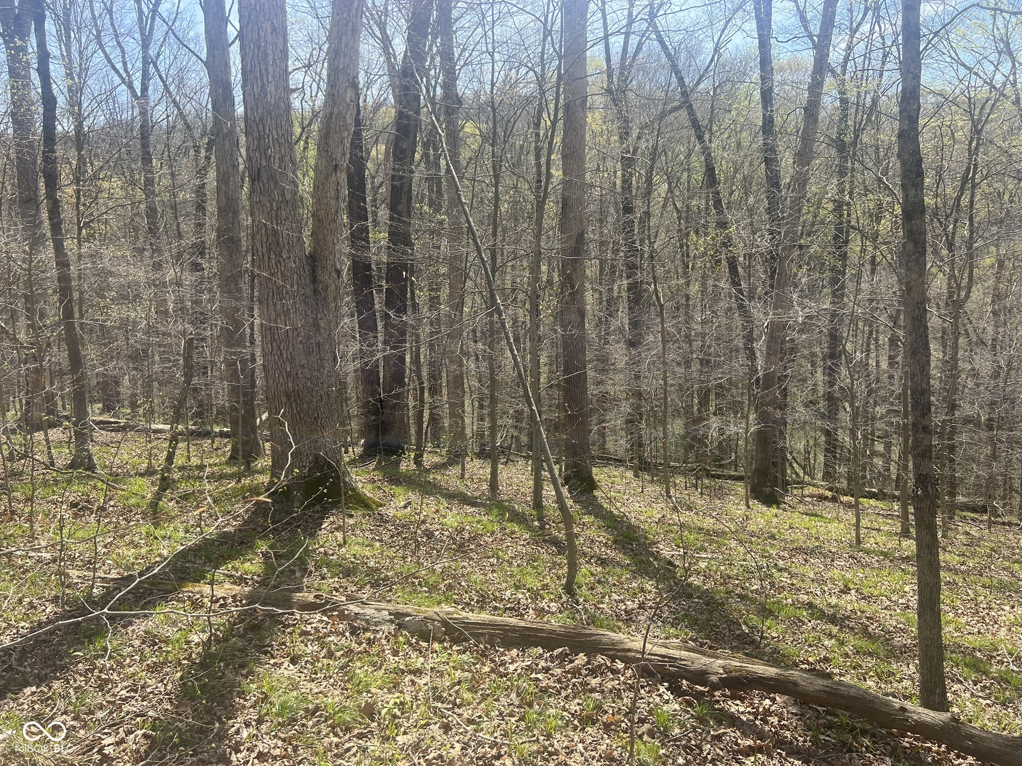 4100 Lower Schooner Road Nashville, IN 47448 - Photo 9 of 32