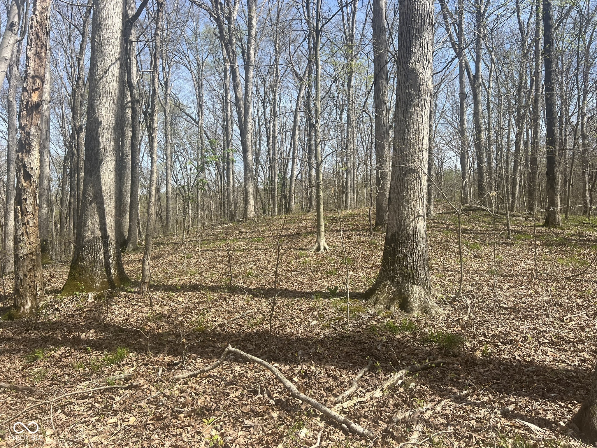 4100 Lower Schooner Road Nashville, IN 47448 - Photo 10 of 32