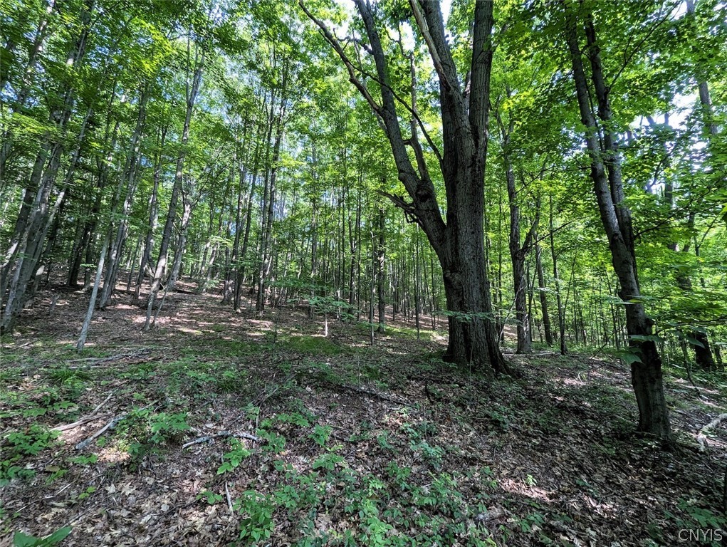 8880 Hemlock Road Wheeler, NY 14809 - Photo 31 of 50