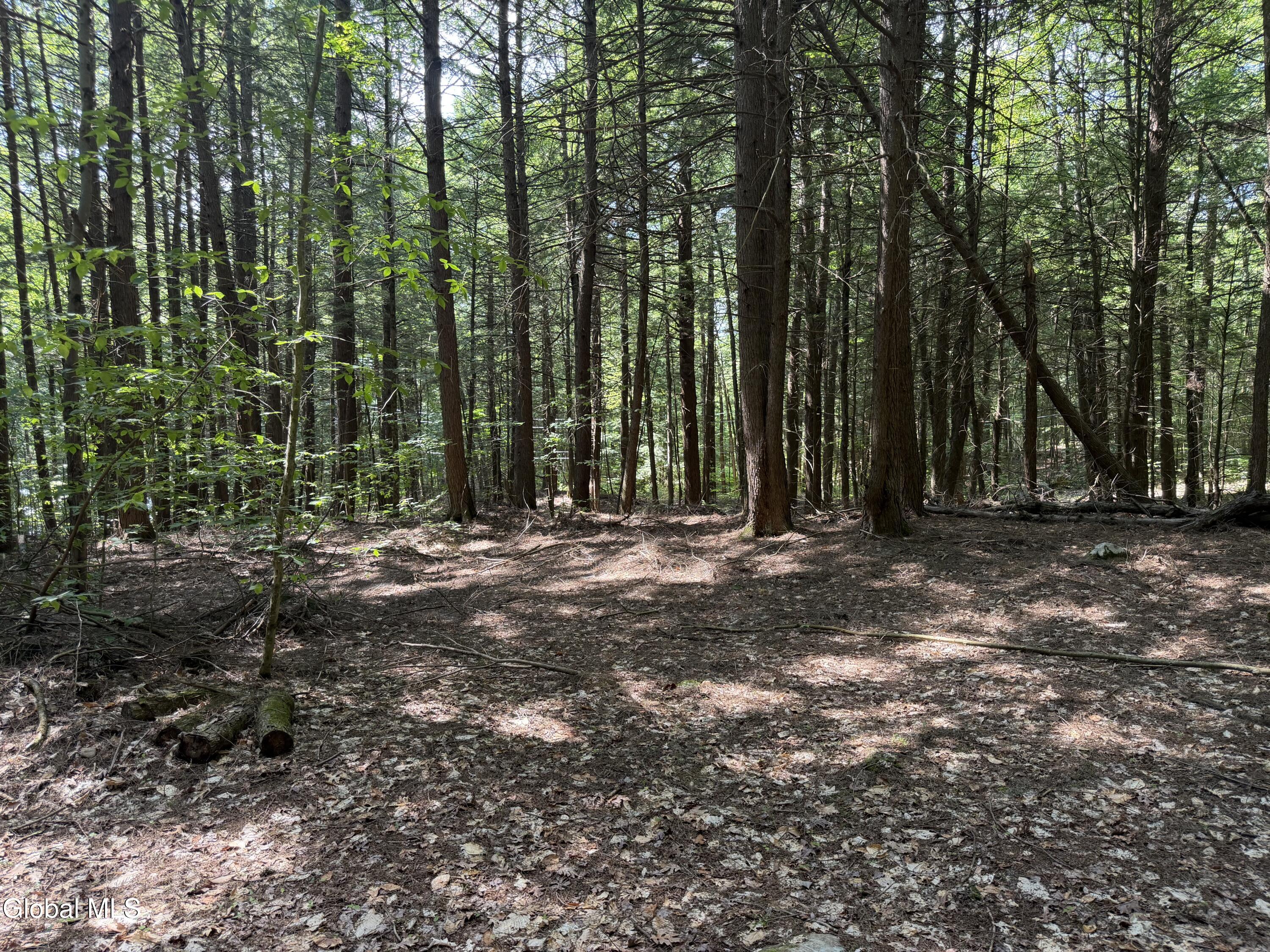 740 Coolidge Hill Road Diamond Point, NY 12824 - Photo 20 of 25 IMG_0714